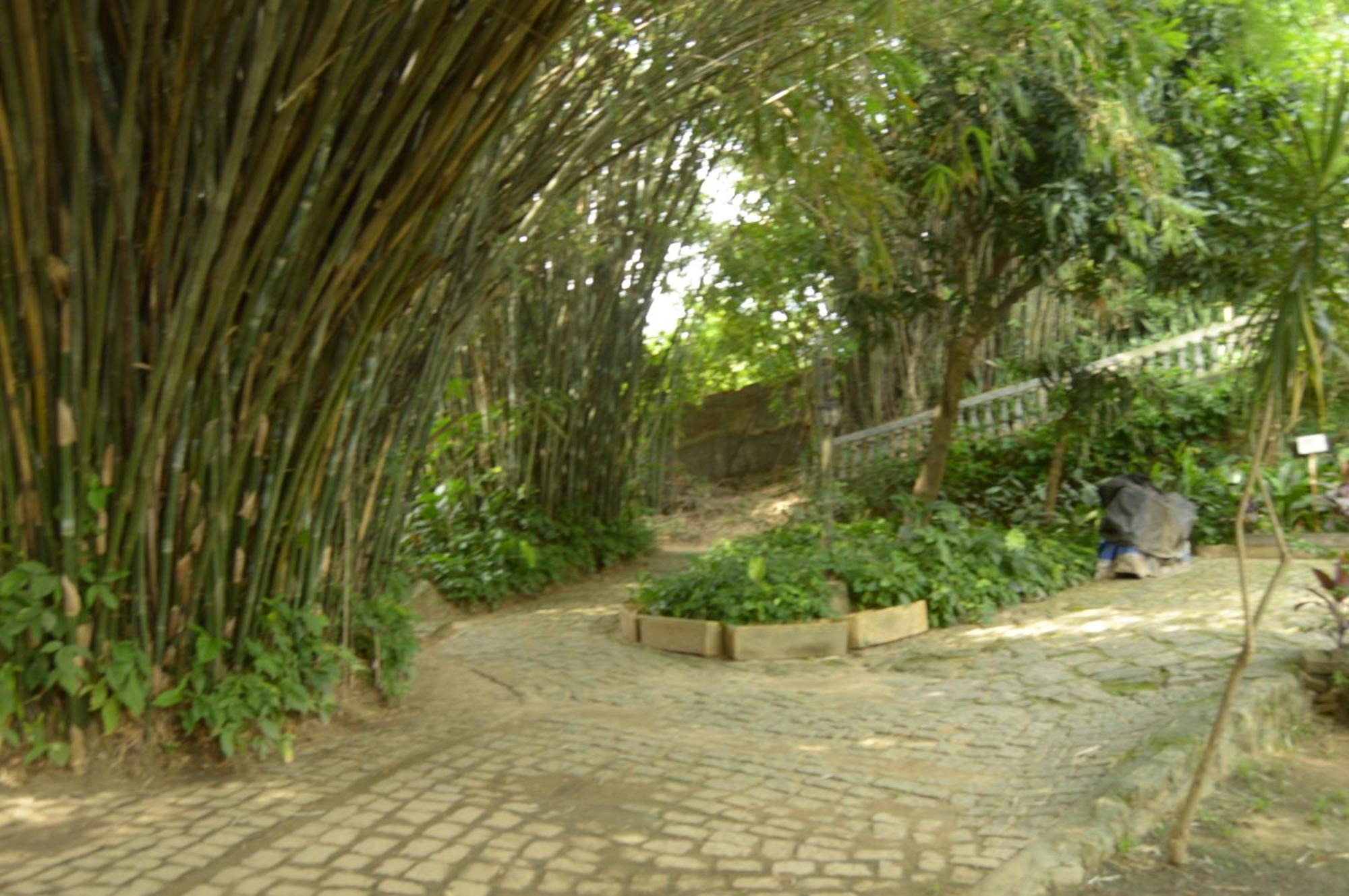 Rio Natureza Adaptado Apart 101 ริโอเดจาเนโร ภายนอก รูปภาพ
